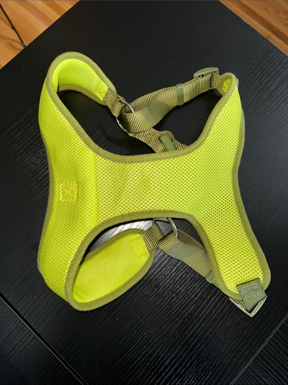 High-Visibility Neon Yellow (Lime Green) Size: Large Padded Dog Harness